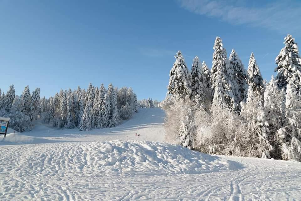 Le Petit Vosgien Leilighet Gérardmer Eksteriør bilde